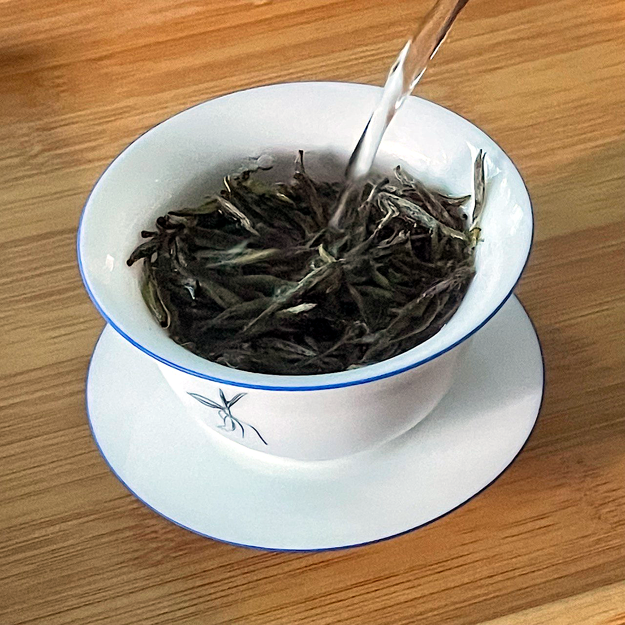 2020 Guanyang Silver Needle White Tea