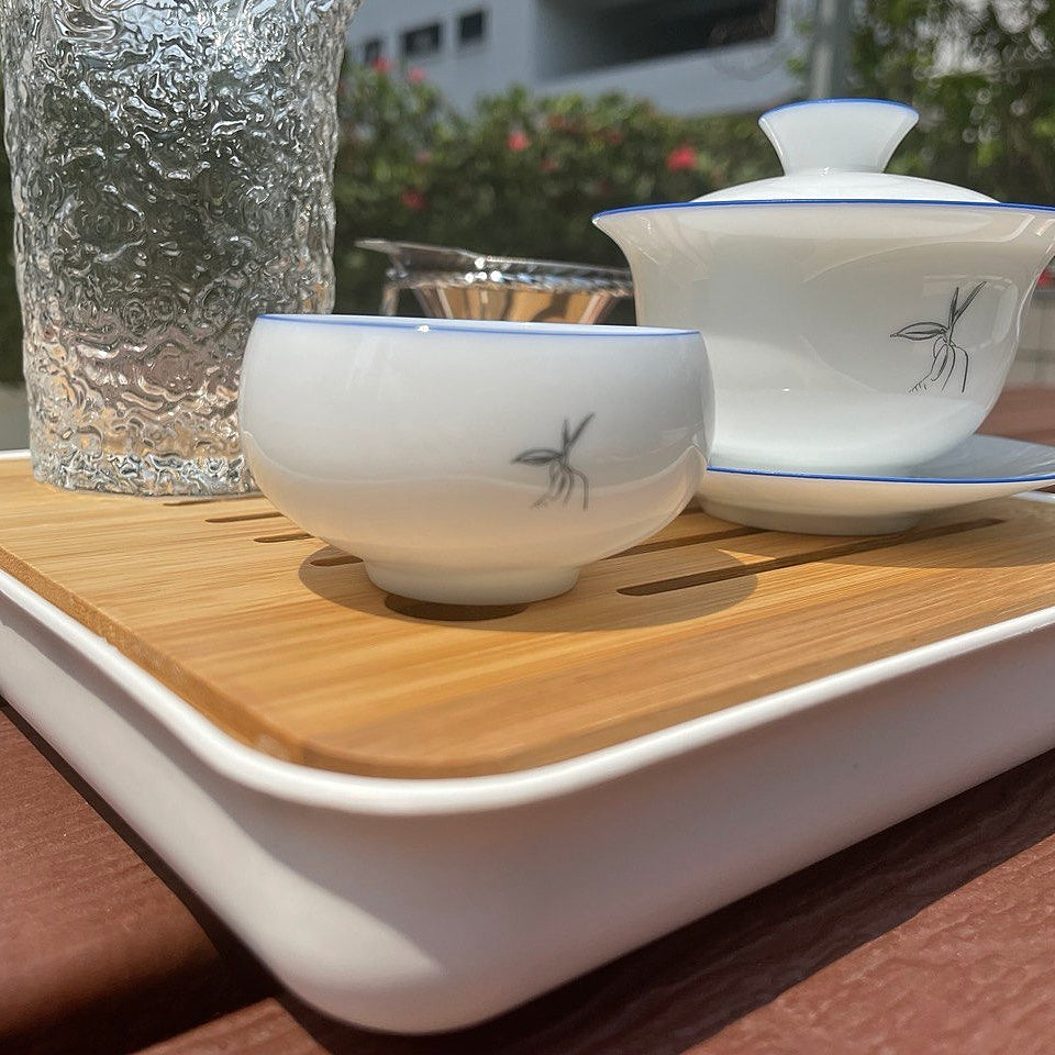 Starter Gongfu Tea Set + Tea Sample Set