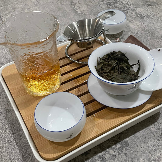 Starter Gongfu Tea Set + Tea Sample Set